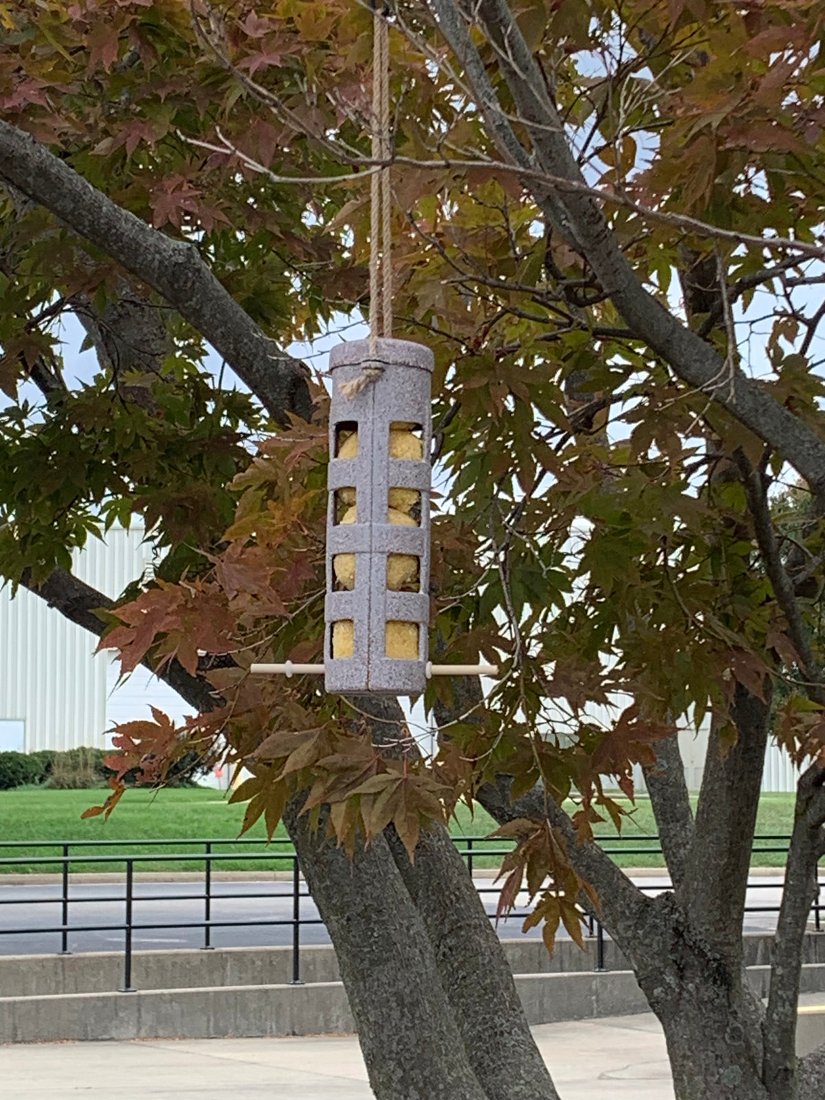 Suet Ball Feeder - Coffee Husks