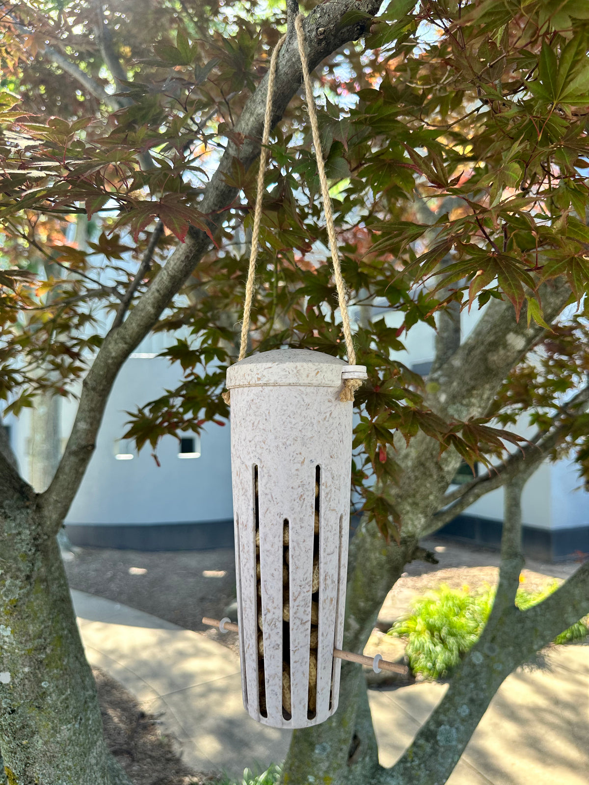 Peanut Feeder - Chaff
