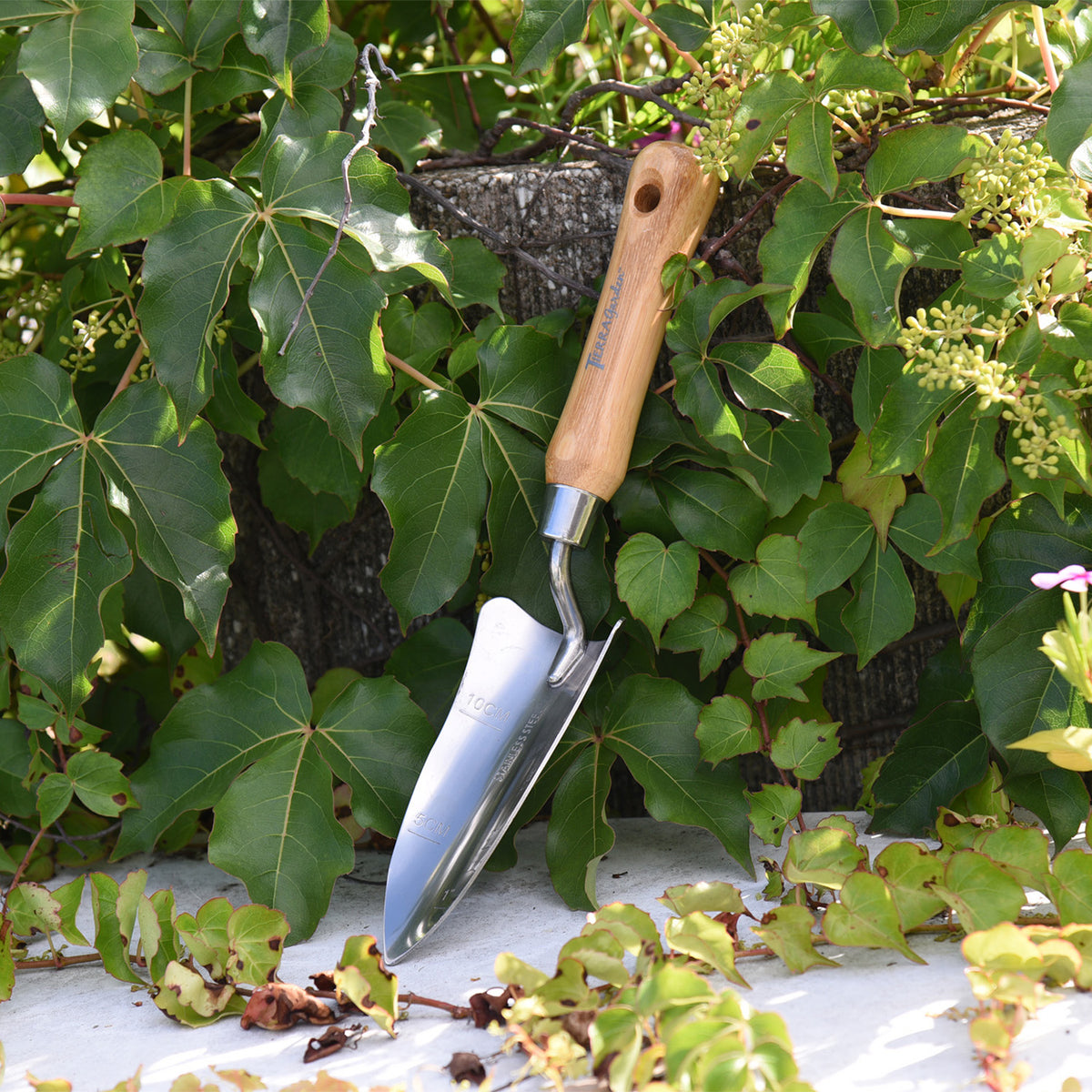 Stainless Steel Transplanter with Bamboo Handle
