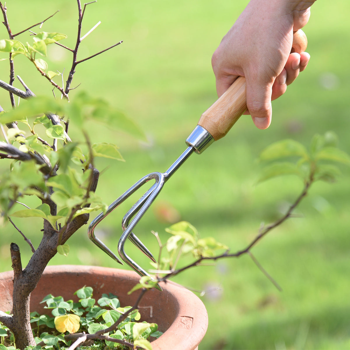 Stainless Steel Cultivator with Bamboo Handle